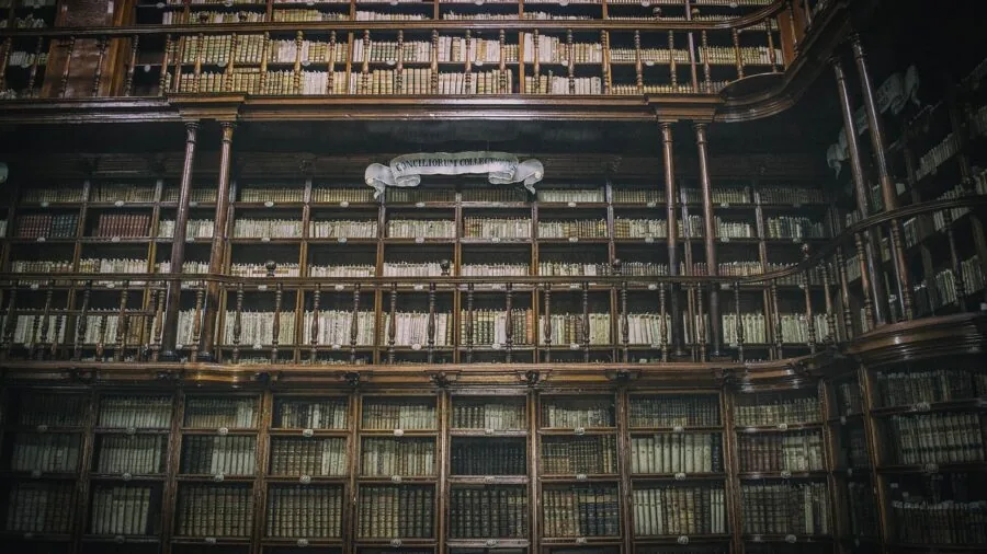 Person arranging books on wooden shelves in home library organization