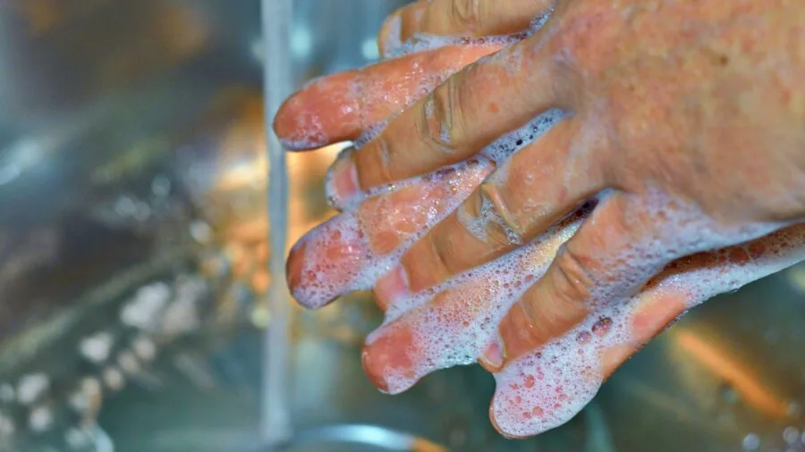 Person cleaning and maintaining a pet water dish with fresh water for animal care