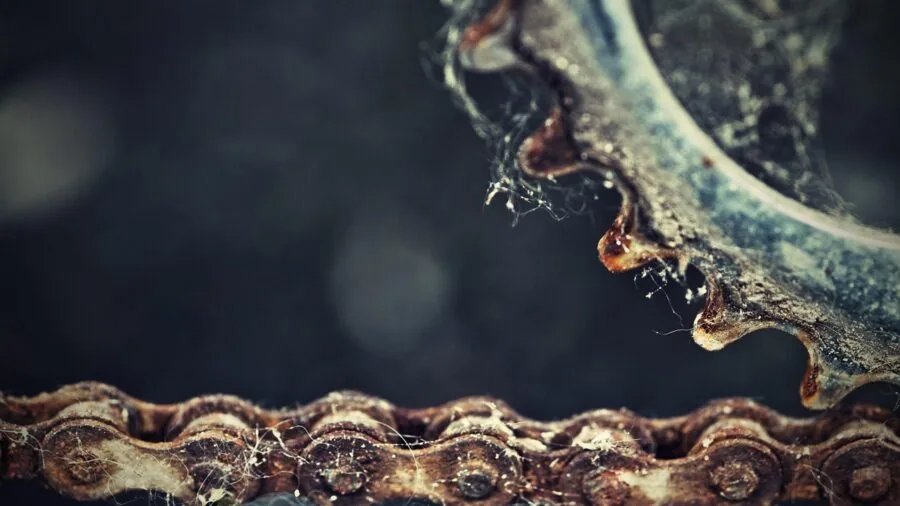 Person cleaning and maintaining bicycle chain outdoors in natural light