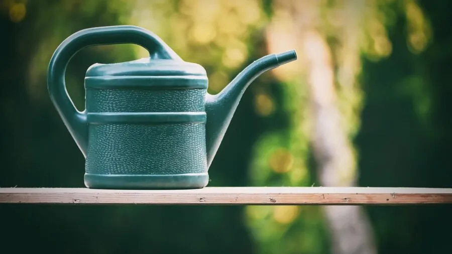 Person cleaning gardening tools and watering equipment outdoors in natural daylight