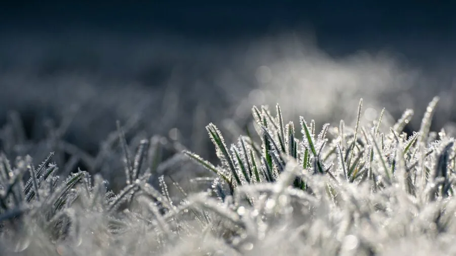 Person clearing frost from car windshield on cold winter morning