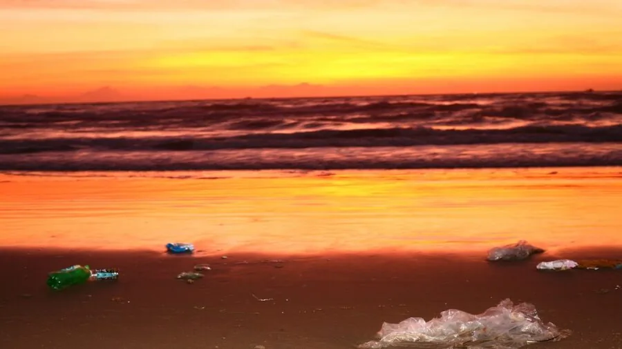 Person collecting trash and plastic waste on beach during cleanup effort