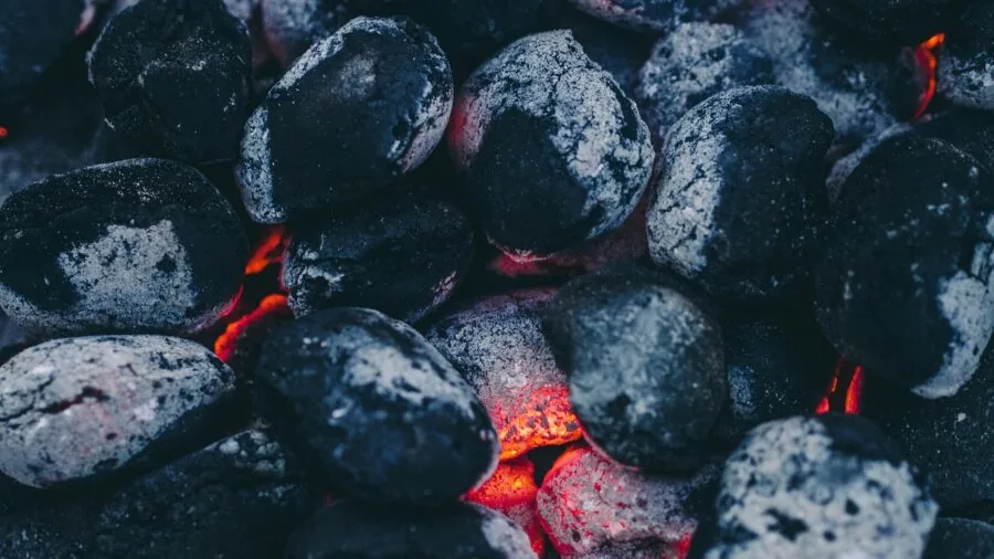 Person comparing different fuel options for outdoor cooking setup in backyard