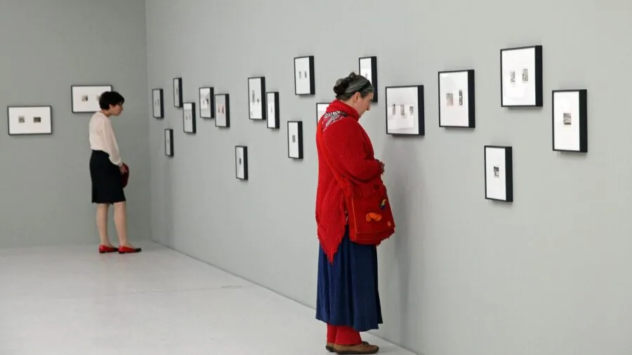 Person experiencing immersive 360 video content on headset in natural setting