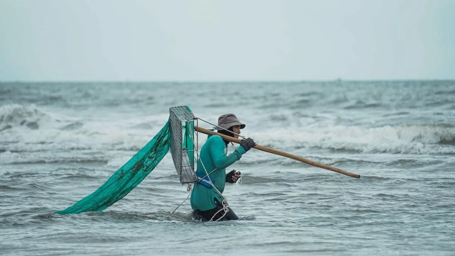 Person filleting fresh fish at outdoor fishing location with natural lighting
