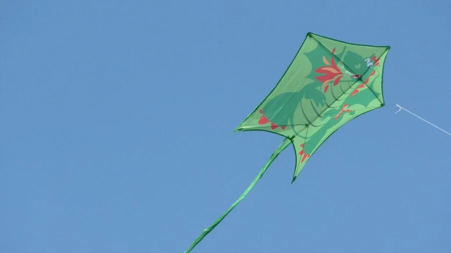 Person flying a colorful kite in an open field on a sunny day