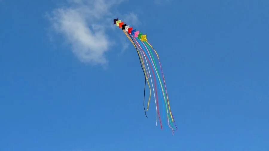 Person flying a kite on a windy beach with clear sky and open landscape