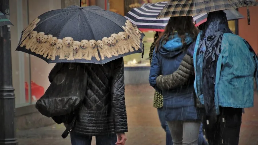 Person gripping umbrella handle during rainfall, demonstrating comfortable grip and posture