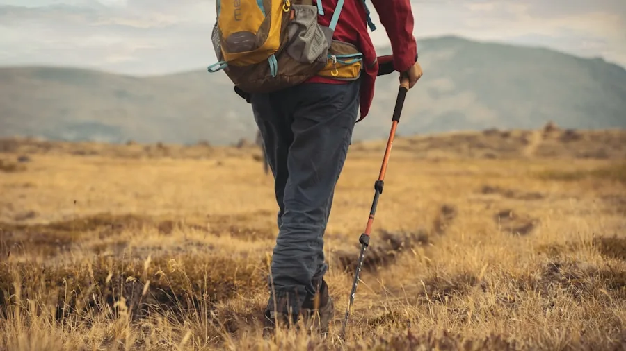 Person hiking on mountain trail carrying daypack through natural landscape
