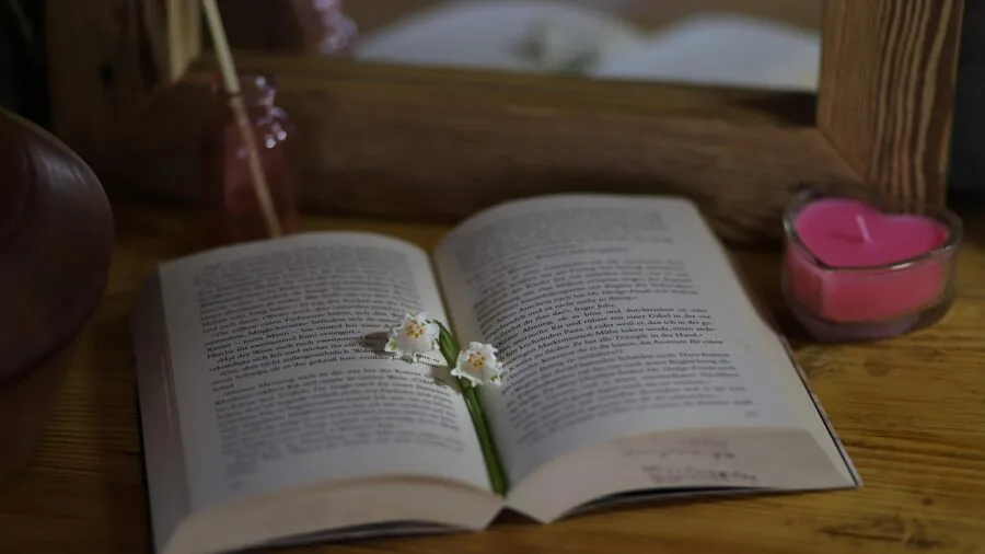Person holding beautifully wrapped book gift with thoughtful presentation and cozy reading atmosphere