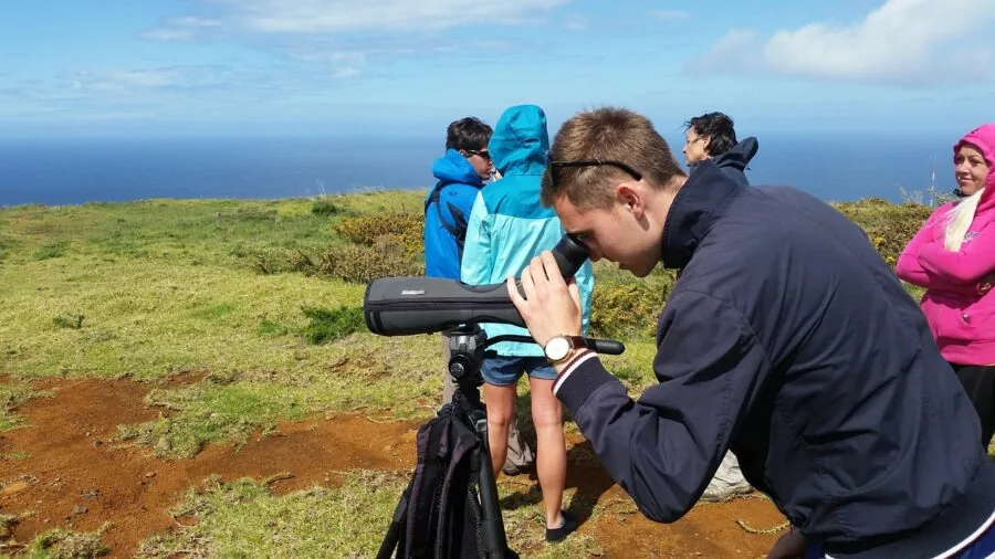 Person holding binoculars while bird watching in natural landscape setting