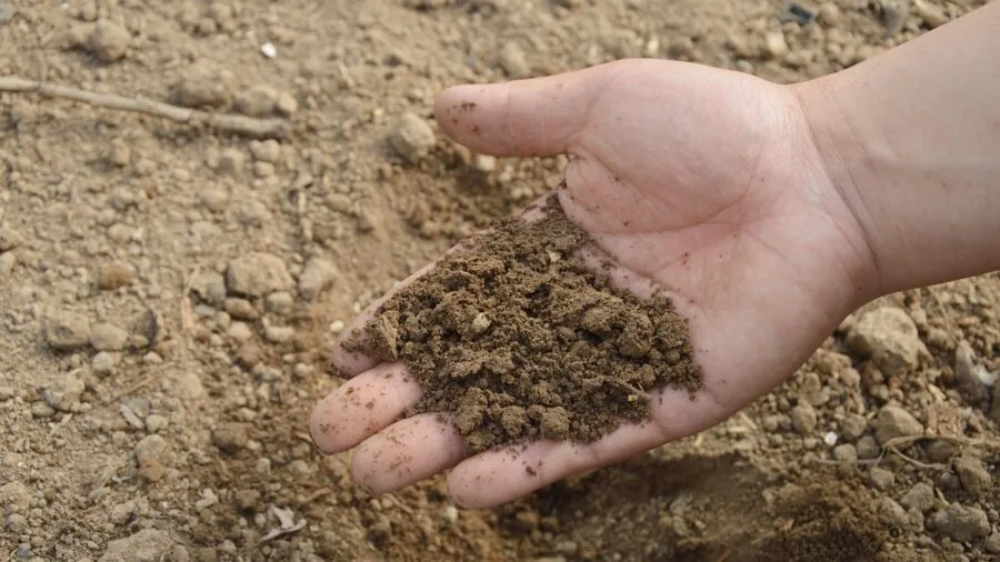 Person installing garden lights in soil during evening, demonstrating easy DIY setup