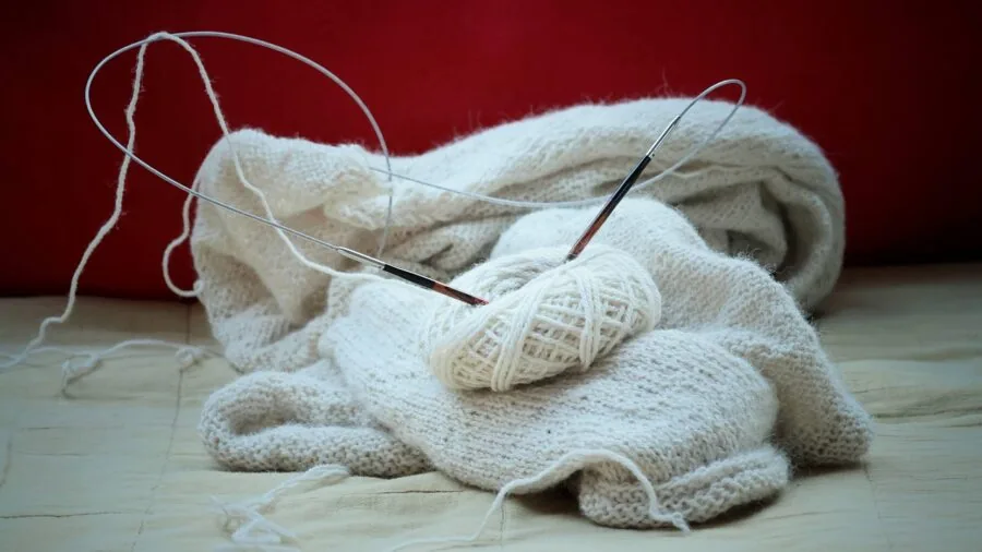 Person knitting with circular needles in natural light, showing hands and yarn in progress