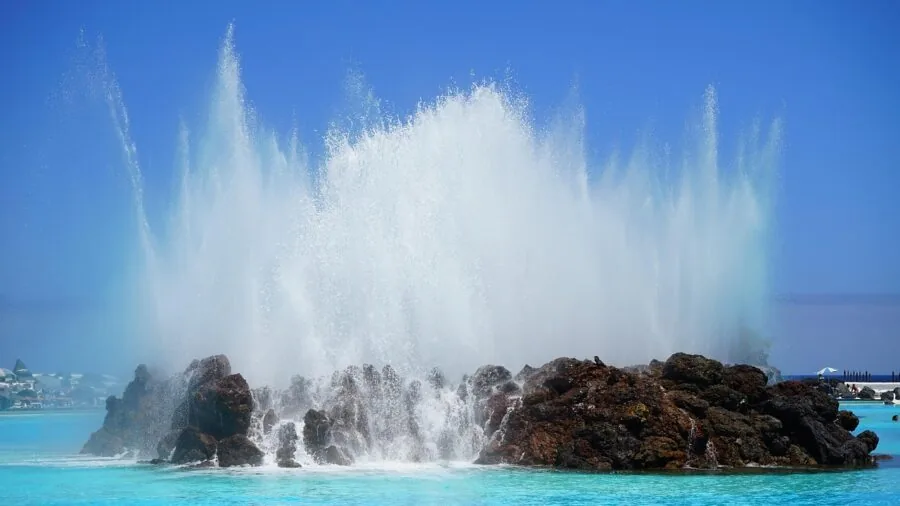 Person maintaining and cleaning an outdoor water basin or garden feature in natural daylight