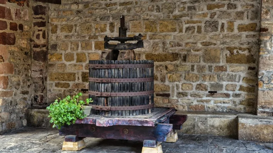 Person measuring wine quality during fermentation in home winemaking setup
