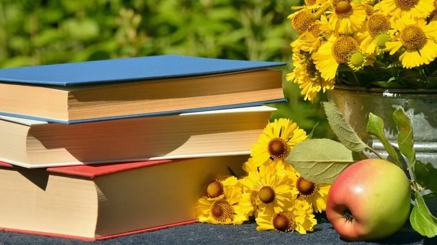 Person organizing books into stackable storage containers on wooden shelves in home library