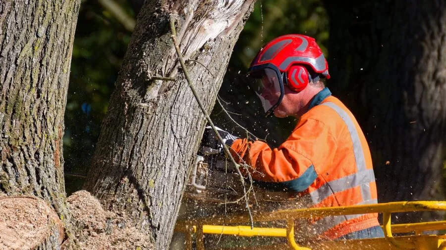 Person performing routine maintenance on chainsaw equipment in outdoor workshop setting