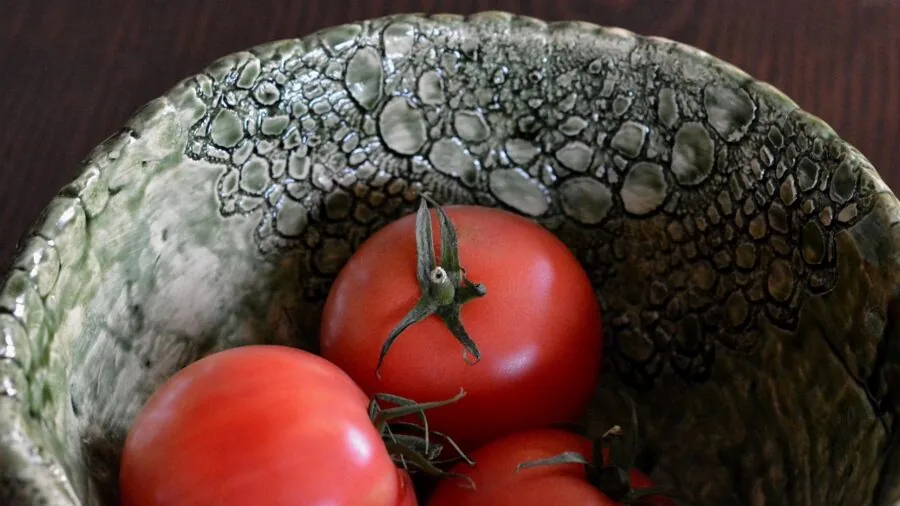 Person placing ceramic bowls in modern kitchen microwave for reheating food