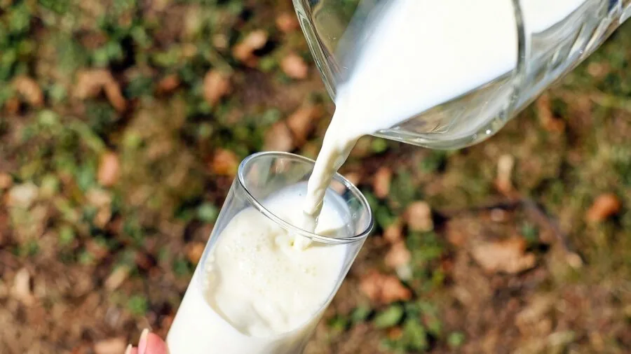 Person pouring clear beverage into glass pitcher with fresh ingredients visible