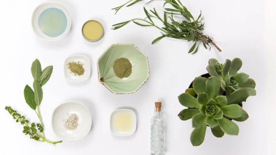Person preparing natural supplements with fresh botanicals and ingredients on wooden table
