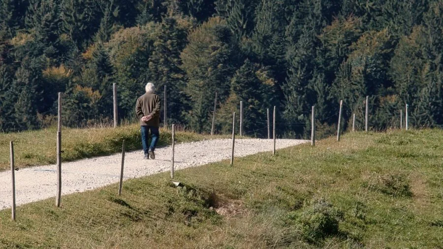 Person pushing wheelbarrow on gravel garden path with uneven ground and vegetation