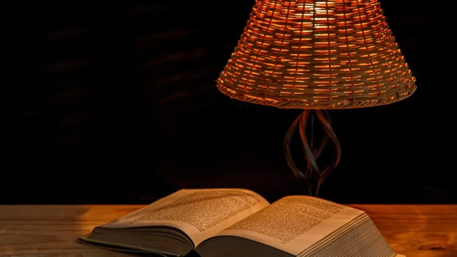 Person reading a book in comfortable lighting during evening, demonstrating task lighting for reading