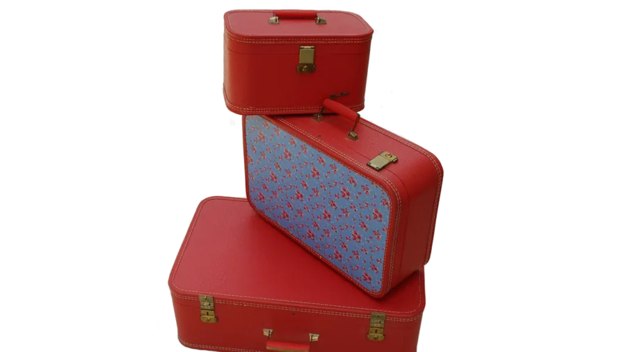 Person researching travel bag options while planning trip, comparing different luggage choices
