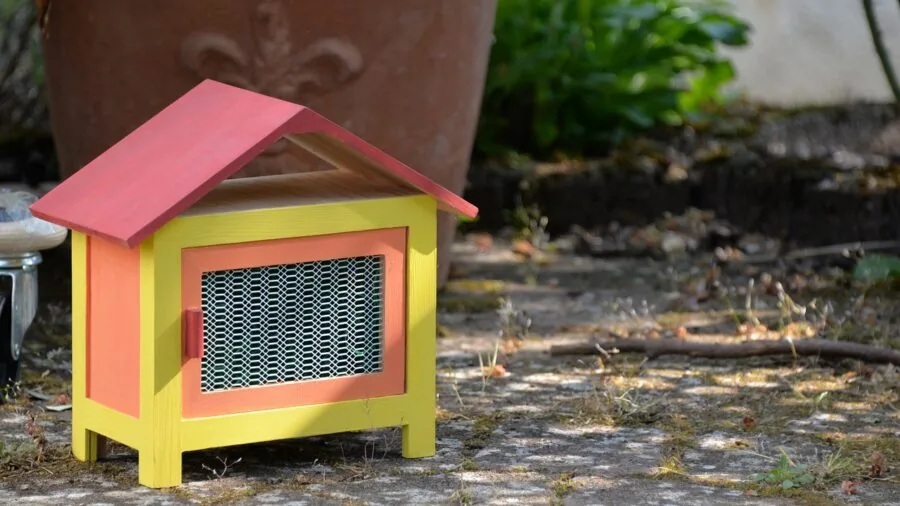 Person rolling a mobile rabbit hutch across a sunny backyard garden to find shade under trees