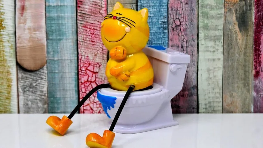 Person scooping and cleaning cat litter box at home
