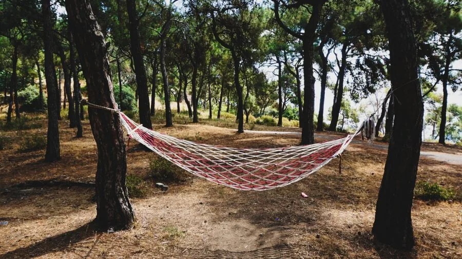 Person setting up a hammock between trees in a forest camping area with rope and straps visible