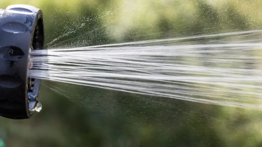 Person using a garden hose to water plants in a residential garden on a sunny day