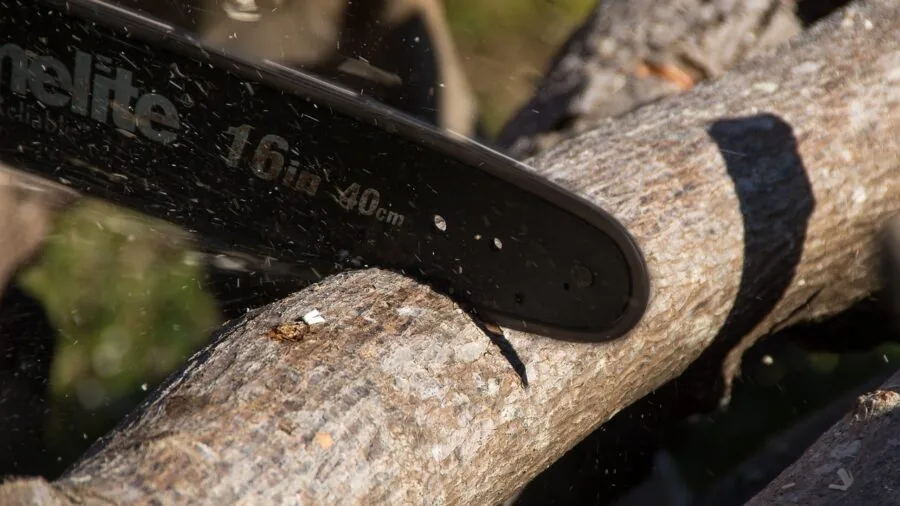 Person using cordless power tool to cut tree branches in outdoor backyard setting