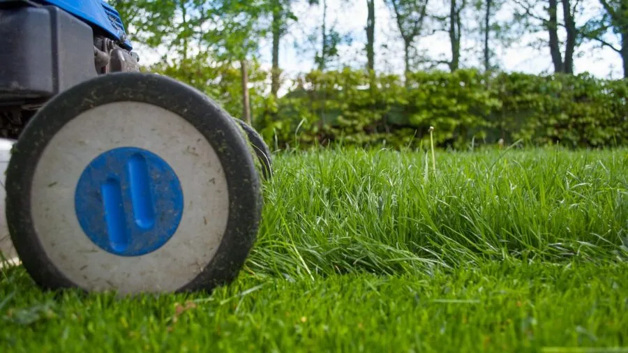 Person using cordless string trimmer in residential yard during lawn maintenance