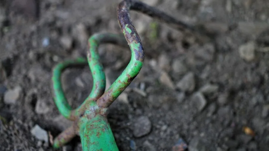 Person using quality pruning tools on a small bonsai tree during a gardening session
