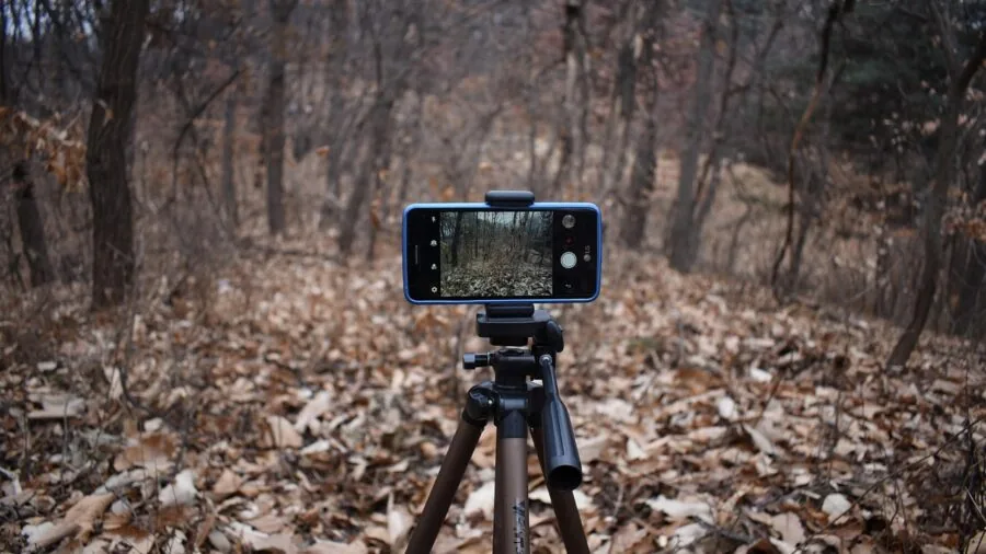 Person using smartphone mounted on tripod to record video outdoors in natural lighting