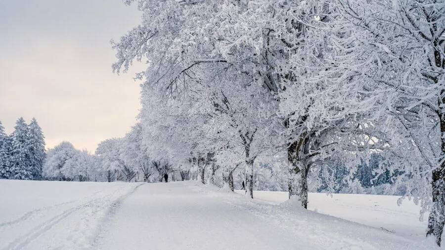 Person using snow shovel on residential driveway during winter snowfall