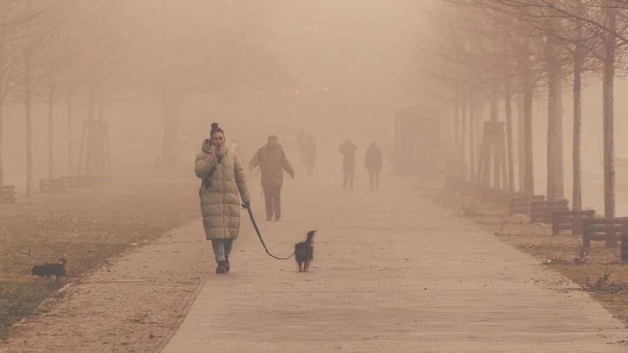 Person walking dog on varied outdoor terrain with natural landscape