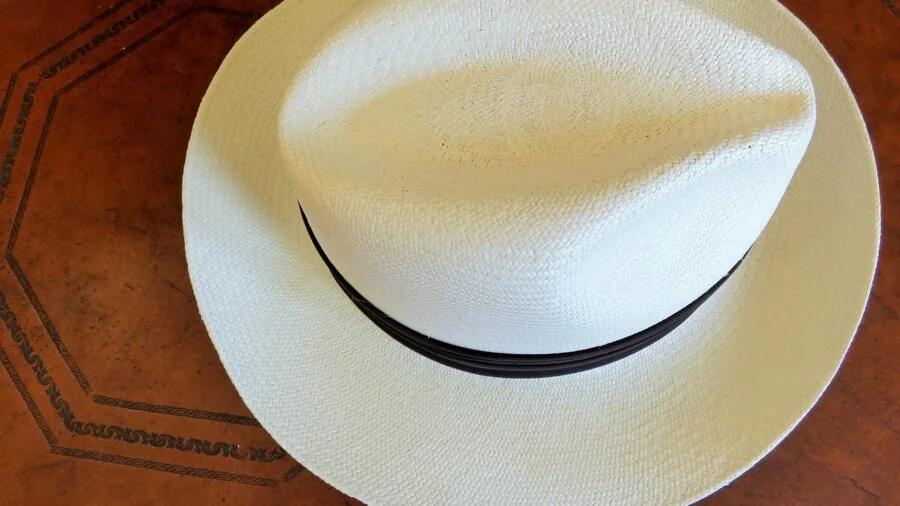 Person wearing a wide-brimmed hat outdoors in natural sunlight, demonstrating sun protection coverage