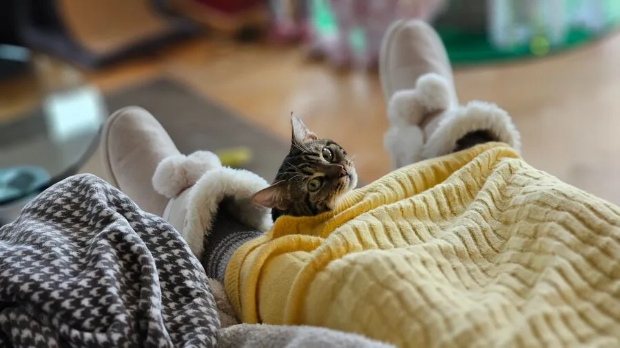Person wrapped in blanket holding warm beverage during cold winter day indoors