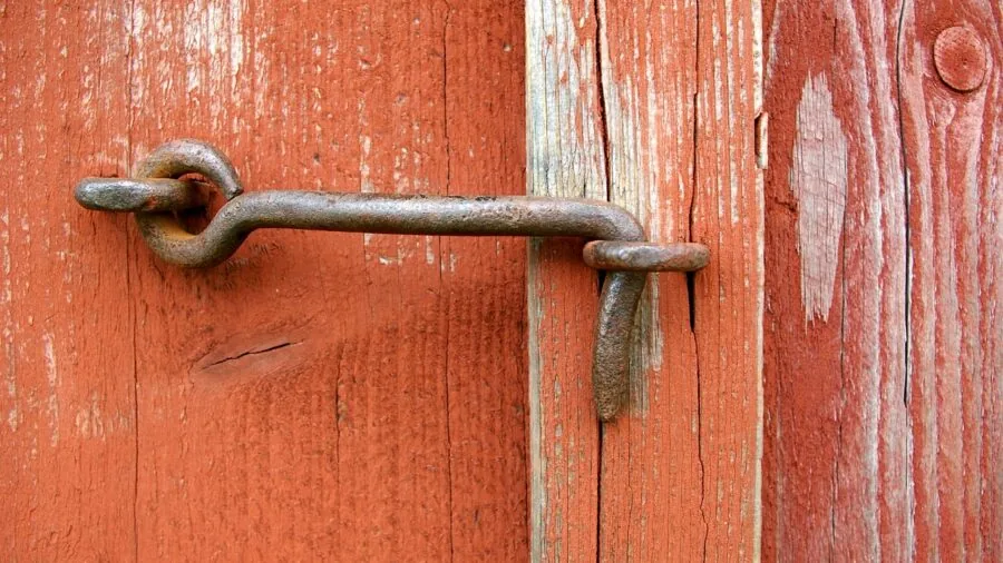 Person's hand reaching toward a contemporary door handle in a bright, modern home entryway