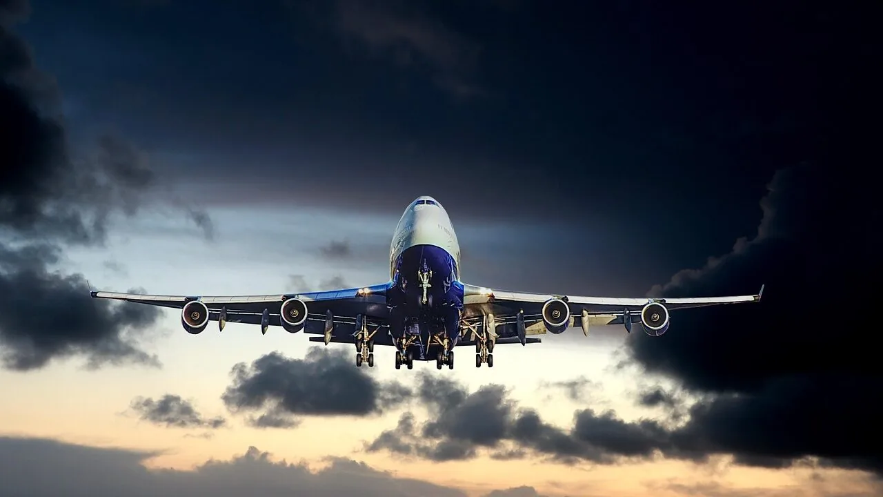 The Best Pet Carriers for Air Travel