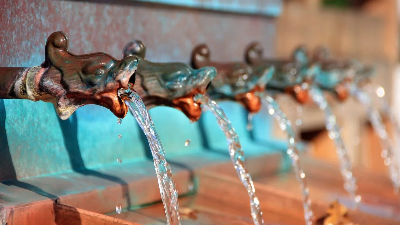 Pet Water Fountains Worth Buying for Every Cat and Dog