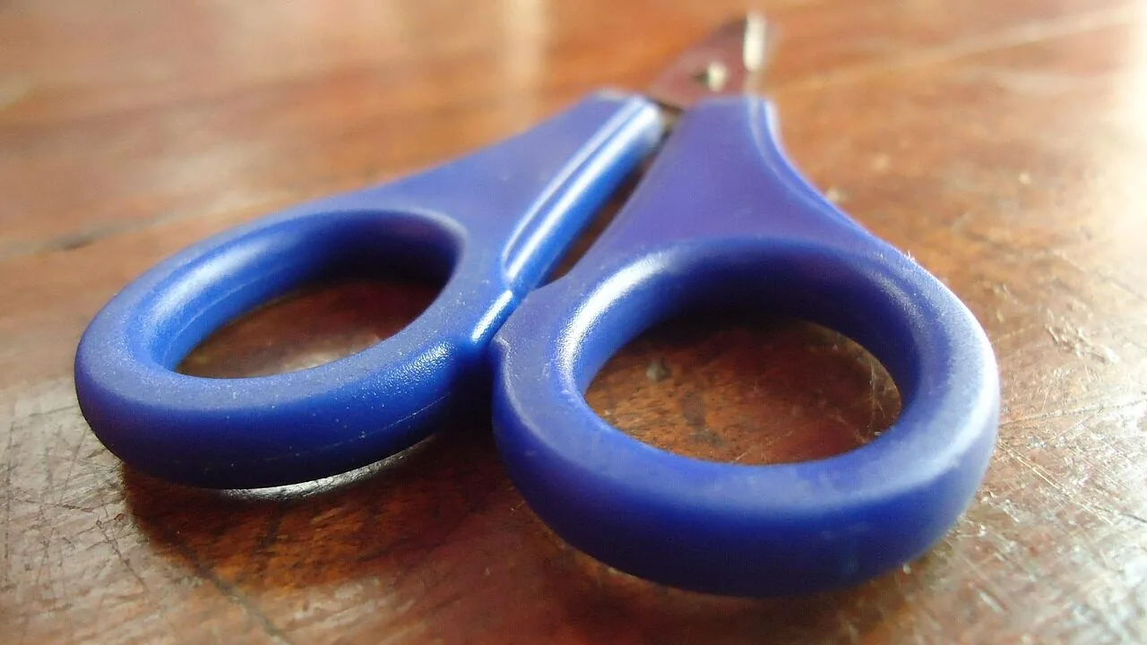 Pinking Shears Worth Buying for Every Sewist and Crafter
