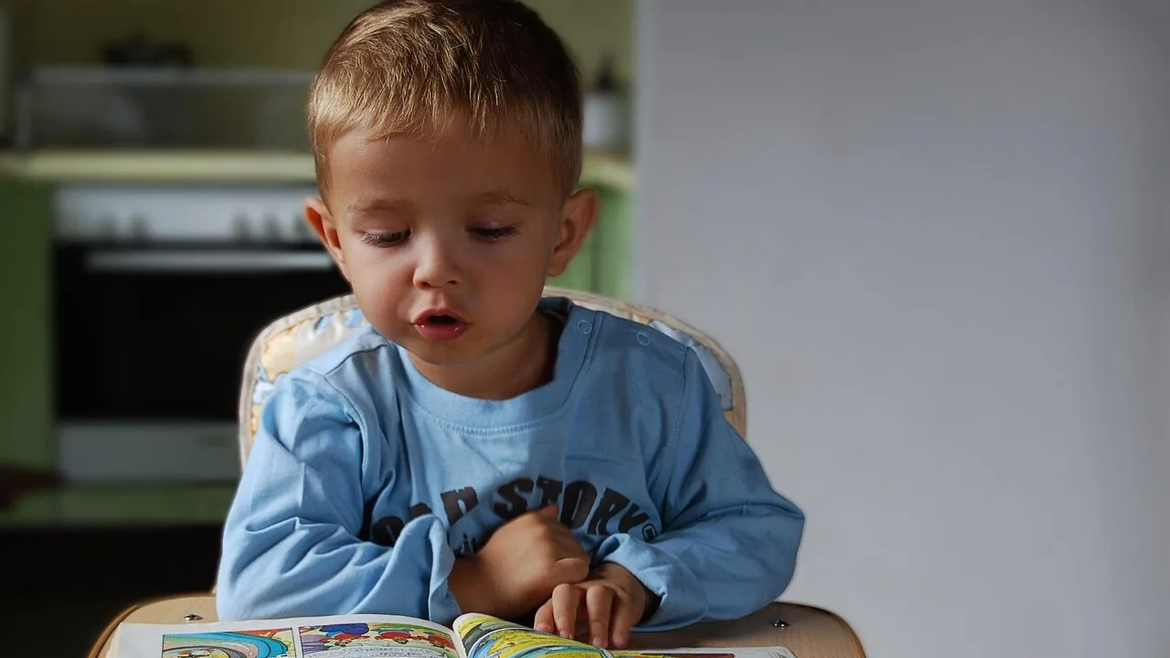 Best Potty Training Chairs for Every Toddler and Family
