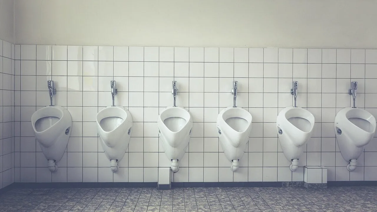 The Best Potty Training Seats for Every Toddler and Bathroom
