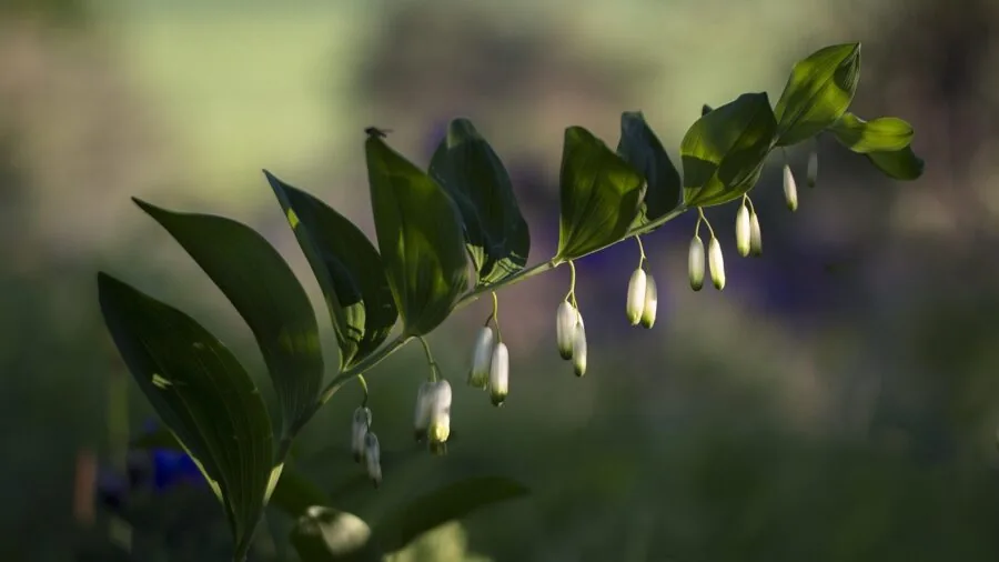 Professional applying waterproof sealant to electrical connection in workshop