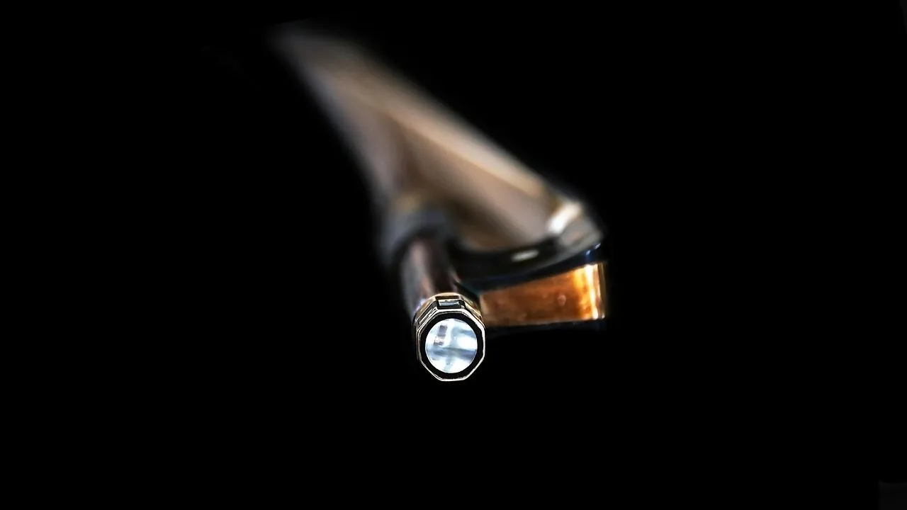 Best Cello Accessories for Every Player and Practice Space