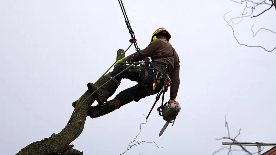 Professional contractor safely using extension ladder with proper stabilization on residential home exterior