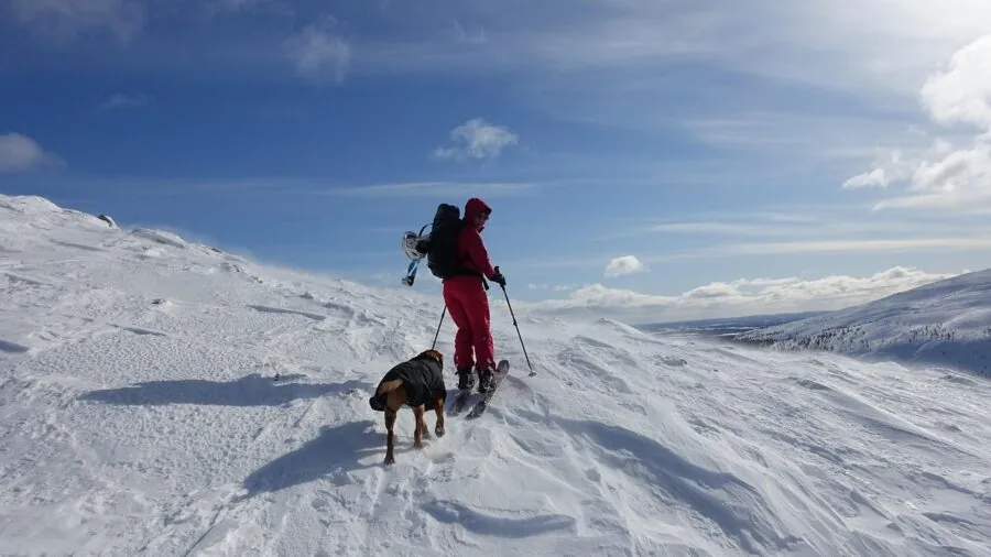 Professional skier racing down snowy mountain slope with poles in action