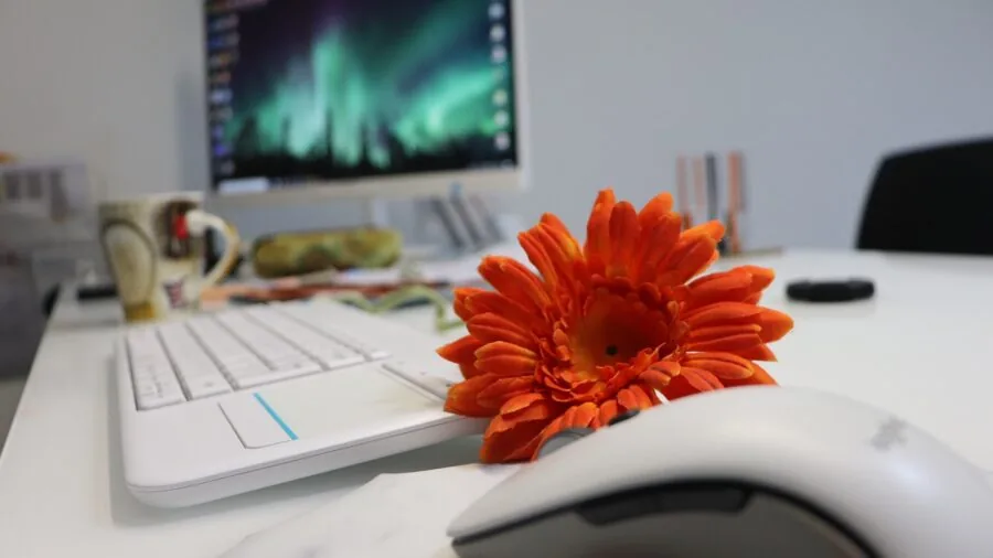 Professional working at computer desk with multiple monitors in home office environment